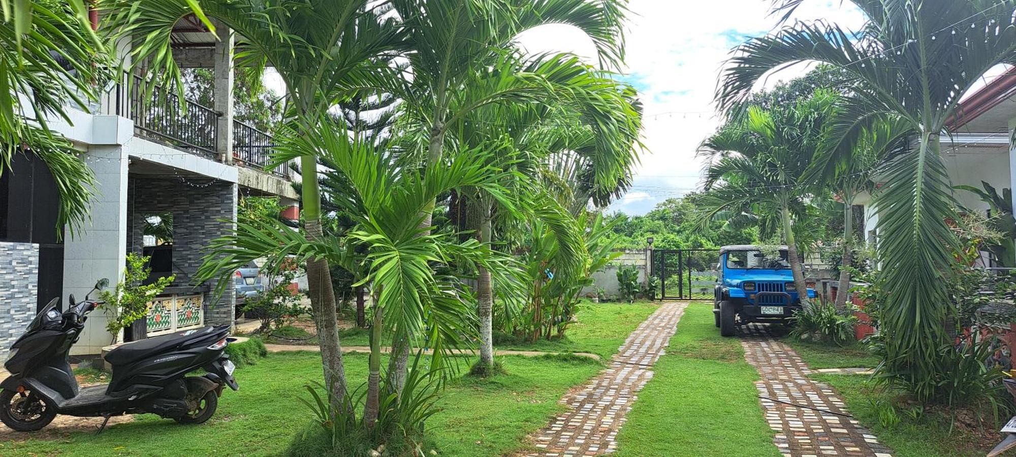 Jean Studio Apartment Panglao Eksteriør billede