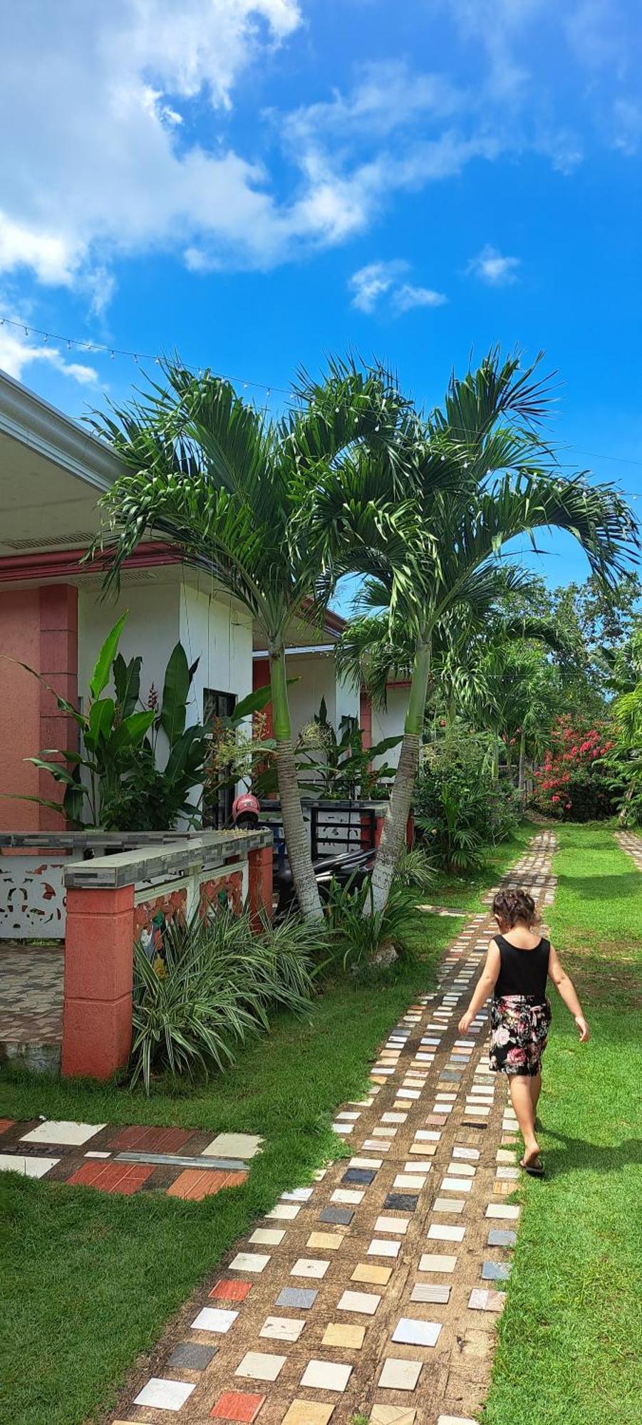 Jean Studio Apartment Panglao Eksteriør billede